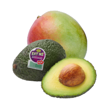 Mango of avocado